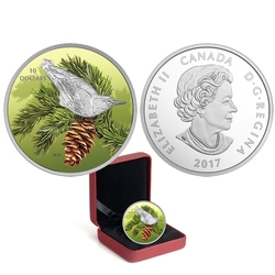 BIRDS AMONG NATURE'S COLOURS -  NUTHATCH -  2017 CANADIAN COINS 05