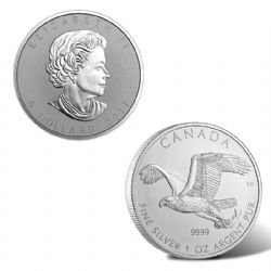 BIRDS OF PREY -  BALD EAGLE - 1 OUNCE FINE SILVER COIN -  2017 CANADIAN COINS 06
