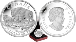 BISON -  A FAMILY AT REST -  2014 CANADIAN COINS 04