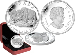 BISON -  THE BULL AND HIS MATE -  2014 CANADIAN COINS 02