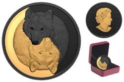 BLACK AND GOLD -  THE GREY WOLF -  2021 CANADIAN COINS 02