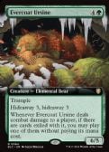 BLOOMBURROW COMMANDER -  Evercoat Ursine