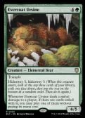 BLOOMBURROW COMMANDER -  Evercoat Ursine