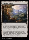 BLOOMBURROW COMMANDER -  Evolving Wilds