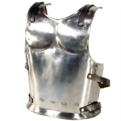 BREASTPLATES -  WARRIOR BACK PLATE (SMALL)