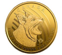 CALL OF THE WILD -  BOBCAT - 1 OUNCE PURE GOLD COIN -  2020 CANADIAN COINS 07