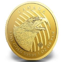 CALL OF THE WILD -  GOLDEN EAGLE - 1 OUNCE PURE GOLD COIN -  2018 CANADIAN COINS 05