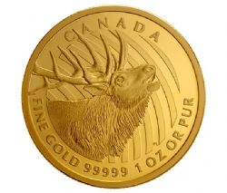 CALL OF THE WILD -  THE BUGLE OF THE ELK - 1 OUNCE PURE GOLD COIN -  2017 CANADIAN COINS 04