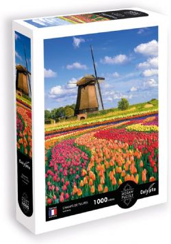 CALYPTO -  TULIP FIELDS, HOLLAND (1000 PIECES)