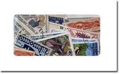 CAMEROON -  50 ASSORTED STAMPS - CAMEROON