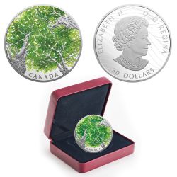 CANADIAN CANOPY -  THE MAPLE LEAF -  2018 CANADIAN COINS 01