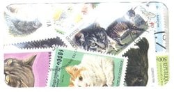 CATS -  100 ASSORTED STAMPS - CATS