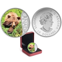 CELEBRATING CANADA'S 150TH -  GRIZZLY BEAR - BRITISH COLUMIA -  2017 CANADIAN COINS 07