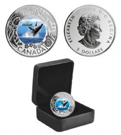 CELEBRATING CANADIAN FUN AND FESTIVITIES -  WHALE WATCHING -  2019 CANADIAN COINS 10