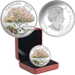 CELEBRATION OF SPRING -  APPLE BLOSSOMS -  2018 CANADIAN COINS 02