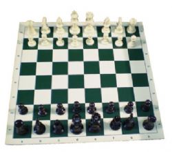 CHESS -  OFFICIAL TOURNAMENT CHESS GAME IN A TUBE