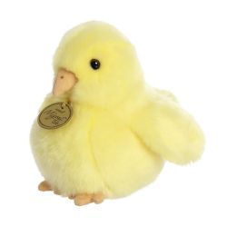CHICK (6