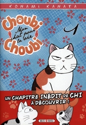 CHOUBI-CHOUBI, MON CHAT POUR LA VIE -  (FRENCH V.) 01