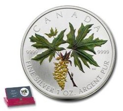 COLORED MAPLE LEAVES -  BIGLEAF MAPLE LEAF -  2005 CANADIAN COINS 05
