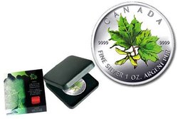 COLORED MAPLE LEAVES -  SPRING MAPLE LEAF -  2002 CANADIAN COINS 02