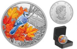 COLOURFUL BIRDS -  BLUE JAY -  2021 CANADIAN COINS 01