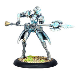 CONVERGENCE OF CYRISS -  STEELSOUL PROTECTOR - SOLO -  WARMACHINE