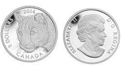 COUGAR -  PORTRAIT OF A FEMALE COUGAR -  2014 CANADIAN COINS 05