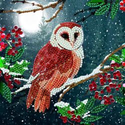 CRYSTAL ART -  Barn Owl