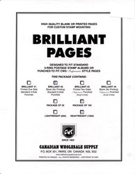 CWS WORLDWIDE -  WHITE BLANK HEAVYWEIGHT PAGES (PACK OF 100)