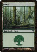 Champions of Kamigawa -  Forest