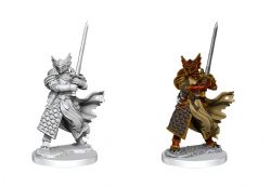 D&D FRAMEWORKS UNPAINTED MINIATURES -  DRAGONBORN PALADIN MALE
