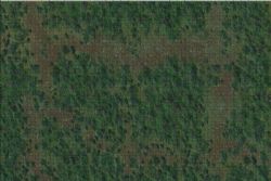 D&D ICONS OF THE REALMS -  FOREST (3' X 5') - BATTLE MATS -  BATTLE MATS DUNGEONS & DRAGONS