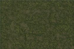 D&D ICONS OF THE REALMS -  GRASSLANDS (3' X 5') - BATTLE MATS -  BATTLE MATS DUNGEONS & DRAGONS