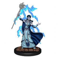 D&D ICONS OF THE REALMS: PREPAINTED MINIATURES -  FEMALE ELF WIZARD -  RPG MINIATURE PREPAINTED DUNGEONS & DRAGONS