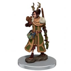 D&D ICONS OF THE REALMS: PREPAINTED MINIATURES -  FEMALE HUMAN DRUID -  RPG MINIATURE PREPAINTED DUNGEONS & DRAGONS