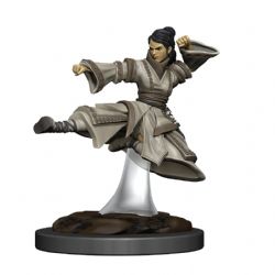 D&D ICONS OF THE REALMS: PREPAINTED MINIATURES -  FEMALE HUMAN MONK -  RPG MINIATURE PREPAINTED DUNGEONS & DRAGONS