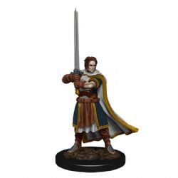 D&D ICONS OF THE REALMS: PREPAINTED MINIATURES -  HUMAN CLERIC MALE -  RPG MINIATURE PREPAINTED DUNGEONS & DRAGONS