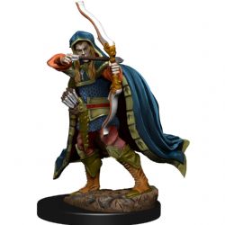 D&D ICONS OF THE REALMS: PREPAINTED MINIATURES -  MALE ELF ROGUE -  RPG MINIATURE PREPAINTED DUNGEONS & DRAGONS