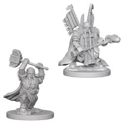 D&D NOLZUR'S MARVELOUS MINIATURES UNPAINTED -  DWARF MALE PALADIN (2) -  RPG MINIATURE UNPAINTED DUNGEONS & DRAGONS