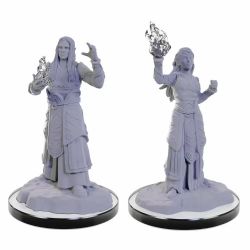 D&D NOLZUR'S MARVELOUS MINIATURES UNPAINTED -  ELF WIZARDS (2) -  RPG MINIATURE UNPAINTED DUNGEONS & DRAGONS
