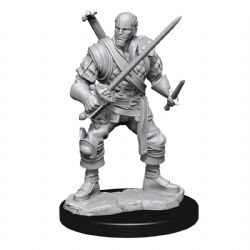 D&D NOLZUR'S MARVELOUS MINIATURES UNPAINTED -  MALE HUMAN BARD (2) -  RPG MINIATURE UNPAINTED DUNGEONS & DRAGONS