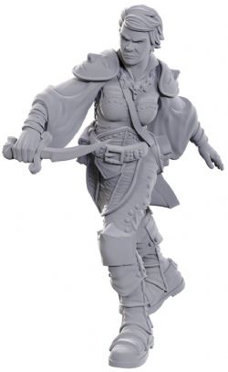 D&D NOLZUR'S MARVELOUS MINIATURES UNPAINTED -  SWASHBUCKLER -  RPG MINIATURE UNPAINTED DUNGEONS & DRAGONS