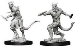D&D NOLZUR'S MARVELOUS MINIATURES UNPAINTED -  TIEFLING MALE ROGUE (2) -  RPG MINIATURE UNPAINTED DUNGEONS & DRAGONS