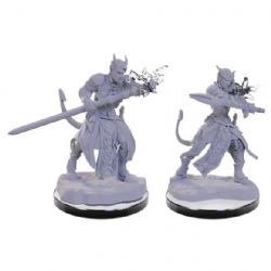 D&D NOLZUR'S MARVELOUS MINIATURES UNPAINTED -  TIEFLING WARLOCKS (2) -  RPG MINIATURE UNPAINTED DUNGEONS & DRAGONS