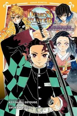 MANGA Demon Slayer KIMETSU NO YAIBA 1-18 TP by Koyoharu Gotouge: New Trade  Paperback