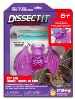 DISSECT IT - BAT LAB (MULTILINGUAL)