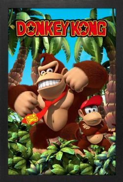 DONKEY KONG -  JUNGLE - PICTURE FRAME (13