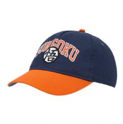 DRAGON BALL -  SON GOKU CURVED BILL SNAPBACK