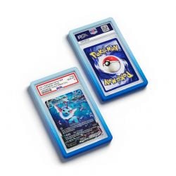 DRAGON SCALE -  PSA BUMPER GUARDS - GRADIENT AQUA