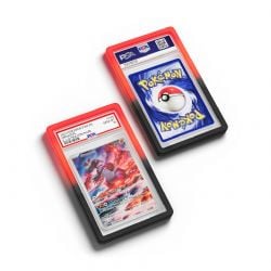 DRAGON SCALE -  PSA BUMPER GUARDS - GRADIENT INFERNAL